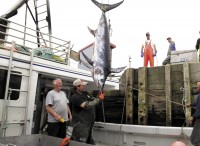 Spearfishing_ChadHeird_opt