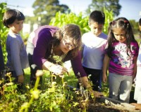 schoolgarden_lindsaymorris