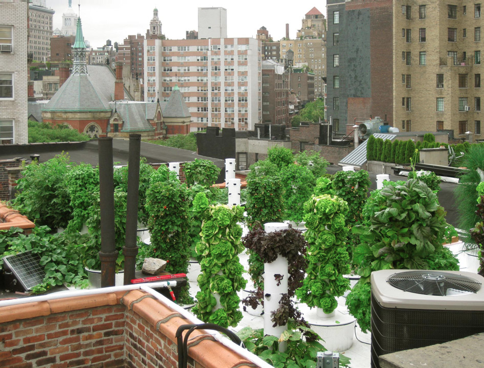 9 Rooftop Farms, Gardens, Bars and Restaurants to Savor While It's