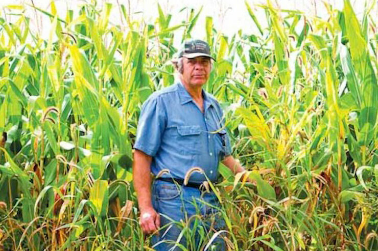a man wearing denim standing in a tall corn field