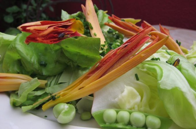 day lily salad