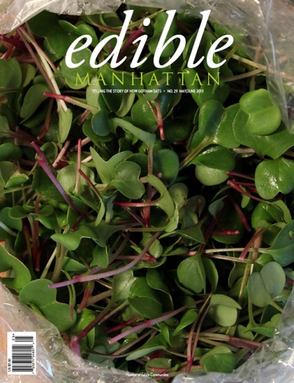 EM29-covers-28