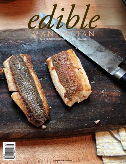 EM29-covers7
