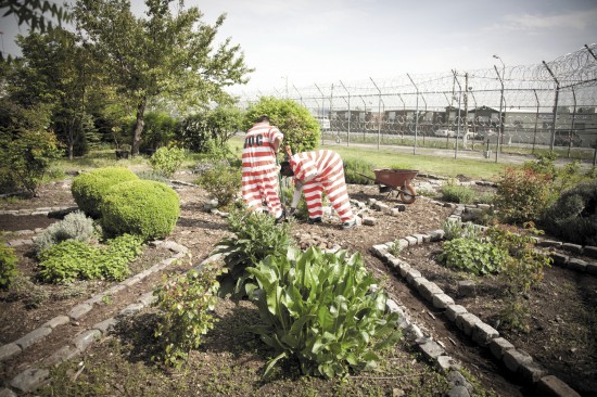 2013_Rikers_lmorris-0_opt1