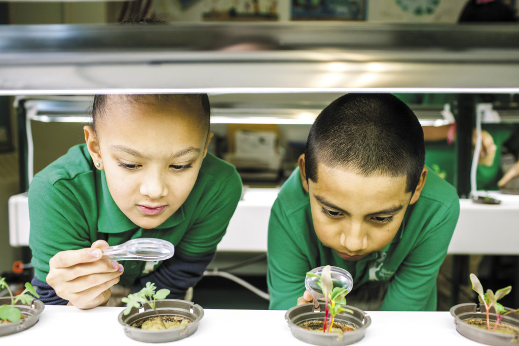 Everything is illuminated: With animals, vegetables and minerals, the living labs don’t just supplement science curriculum—they are the science curriculum.