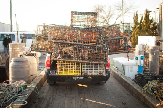 Montauk lobster traps are emptied and carted away.