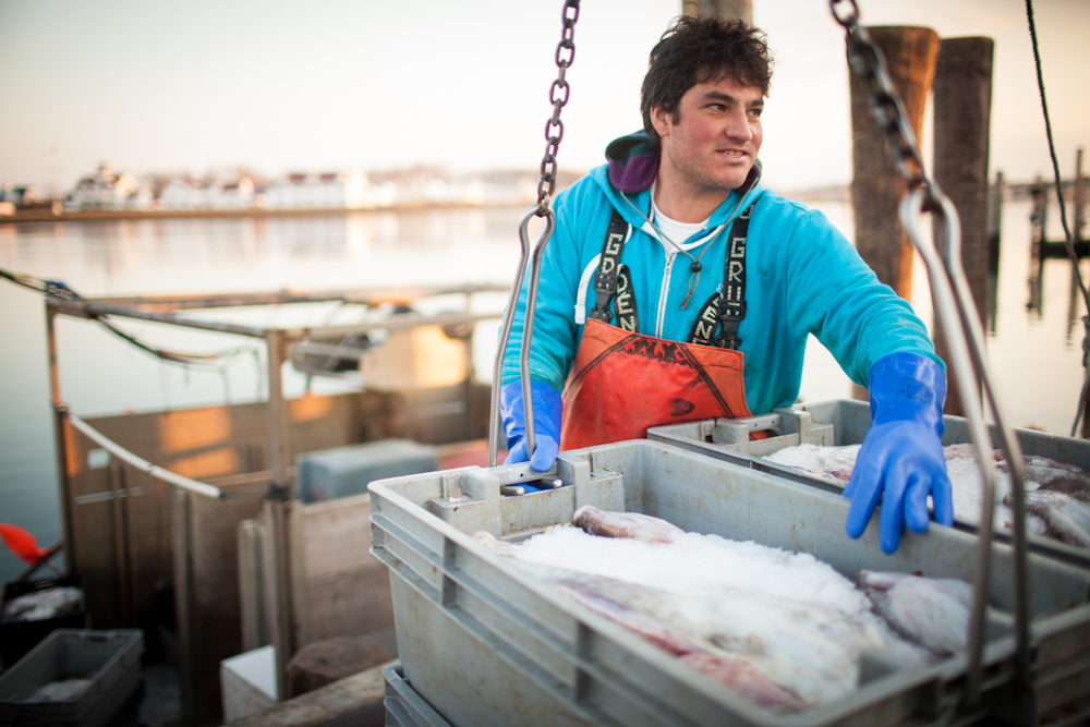 Dock to Dish fishermen unload the days haul of monkfish.