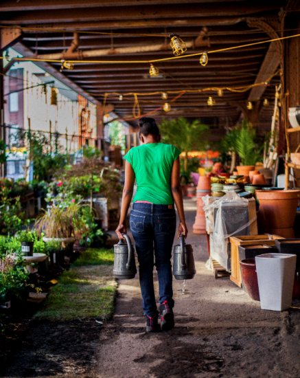 urban garden center