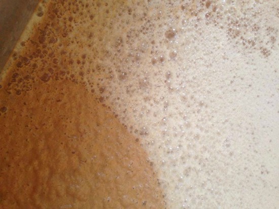 yeast is added to mash to ferment 780