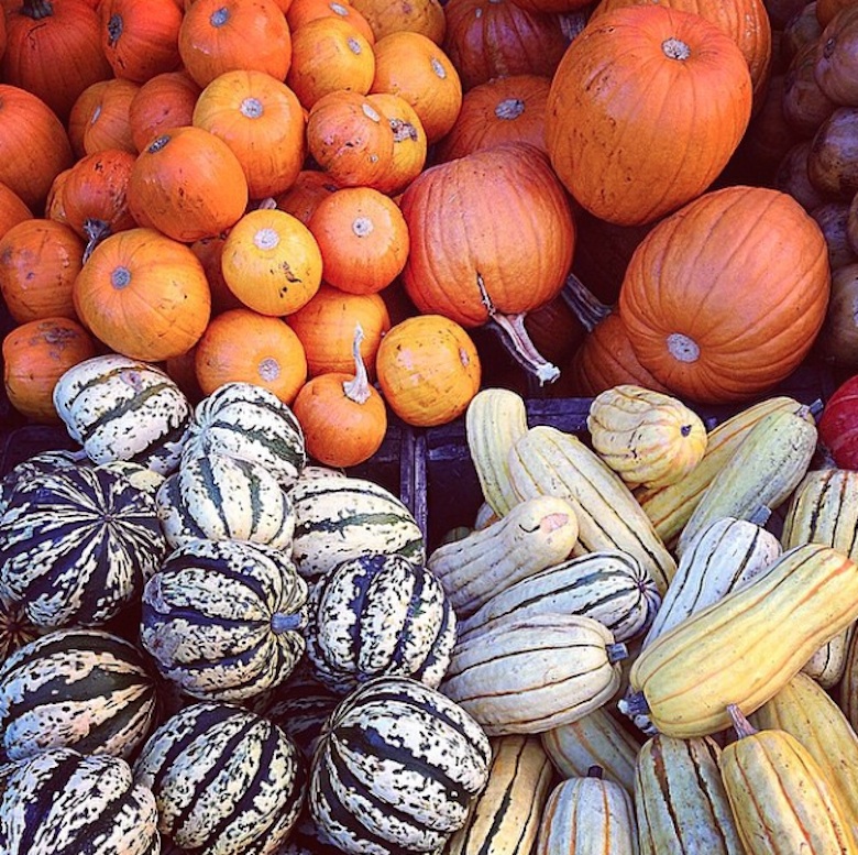 The Hottest Friday Night Outing Option This October? GrowNYC's Night