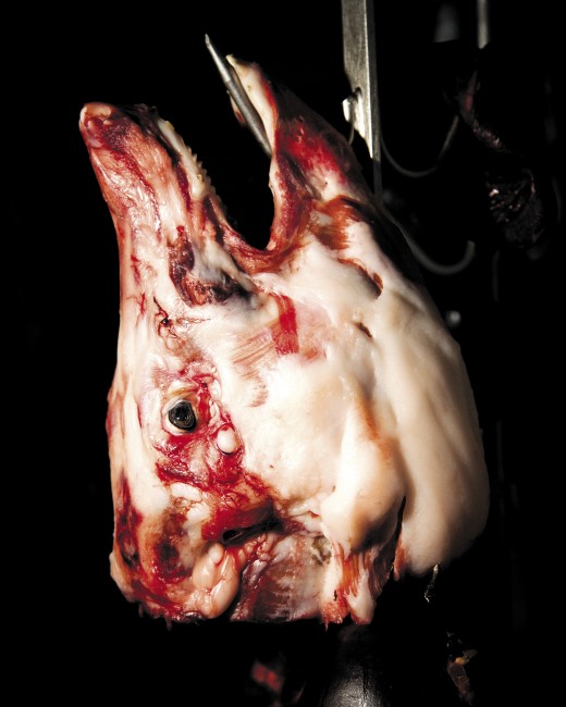 2014_HappyMeatCo_EMed_opt1