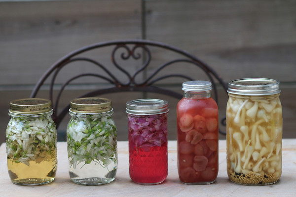 foragedpicklecollection