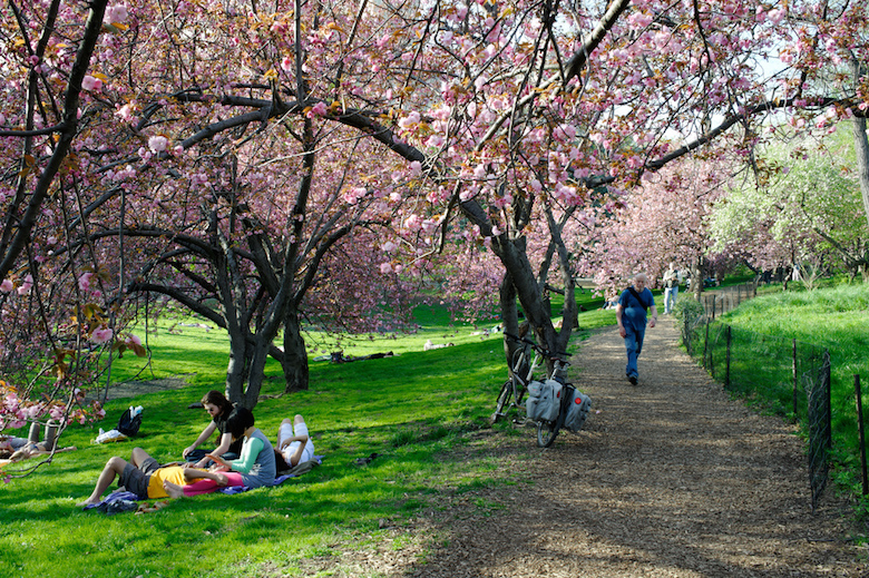 central park picnic