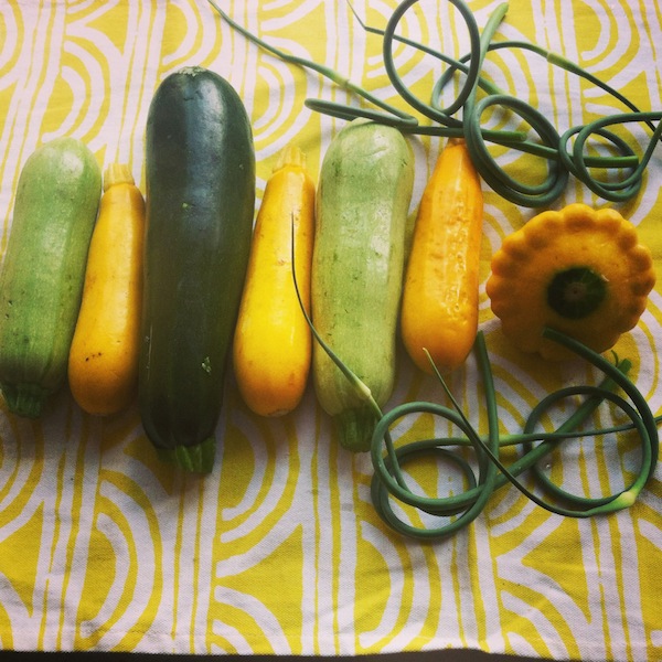 Sumer Squash