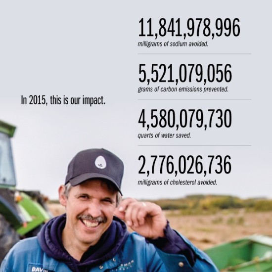 hampton creek 2015 impact