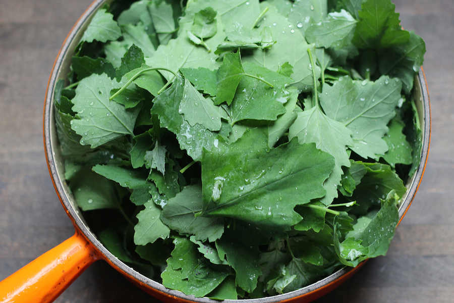 lambs quarters