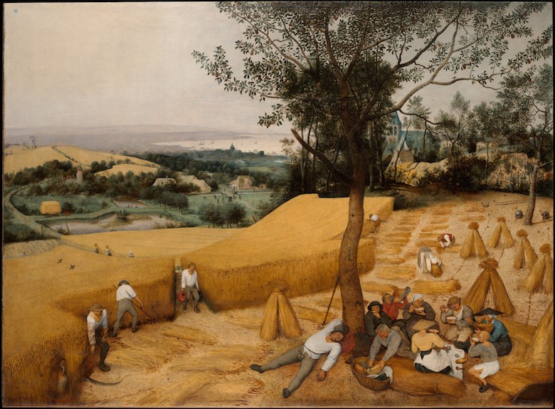 the harvesters
