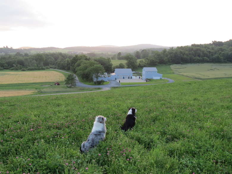 Hillrock distillery - HV package 1