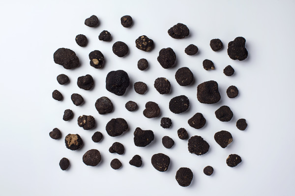 urbani truffles