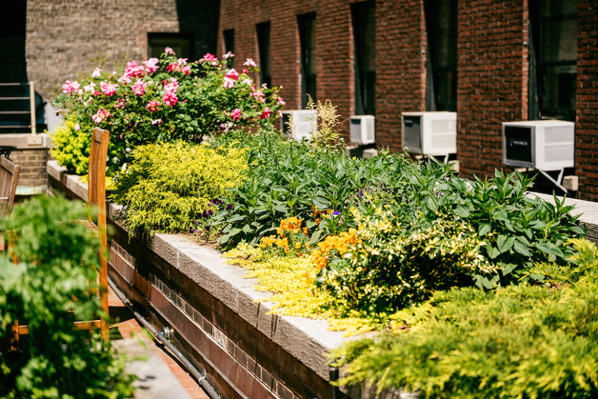 hospital rooftop garden