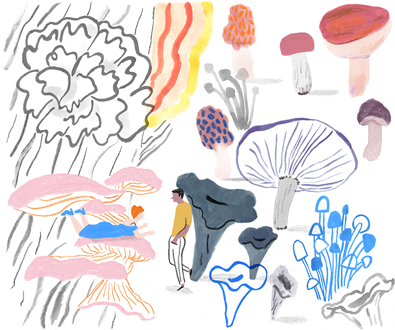 Mushroom-Collage-edible-RebeccaClarke-1