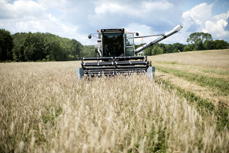 2015_SGBleicher_Local_Grains_Hawthorne_Valley_049