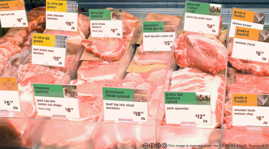 A butcher case from the future, containing roadkill, invasive species and cultured meat, was among the future artifacts shared by Sarah Smith of the Institute for the Future.