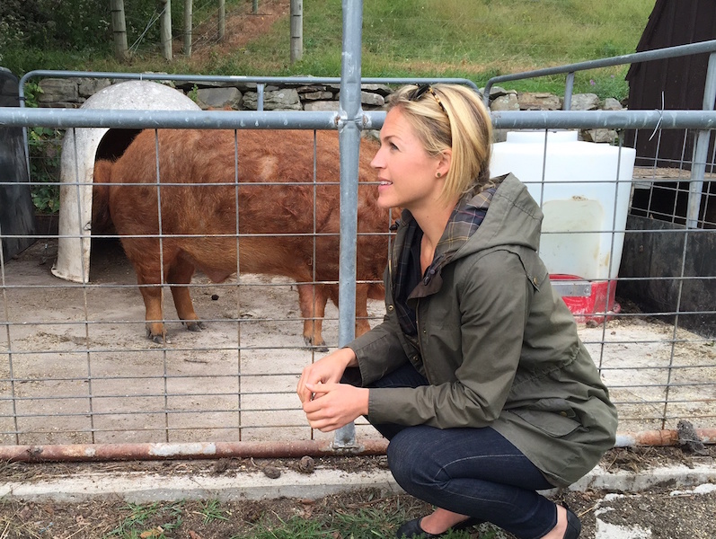Boar_Farm_EllyTruesdell_2