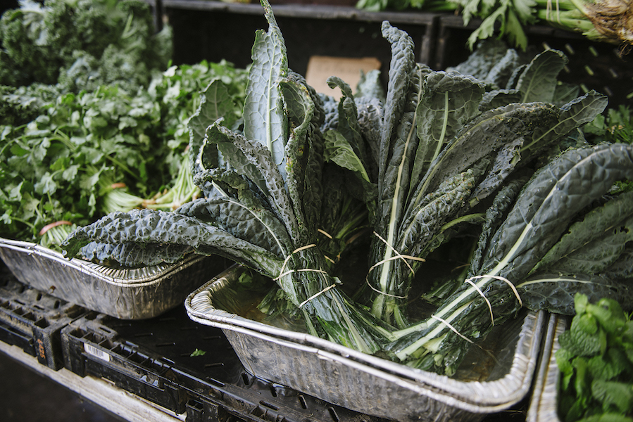 2016_PatrickKolts_HarlemFarmersMarkets_007