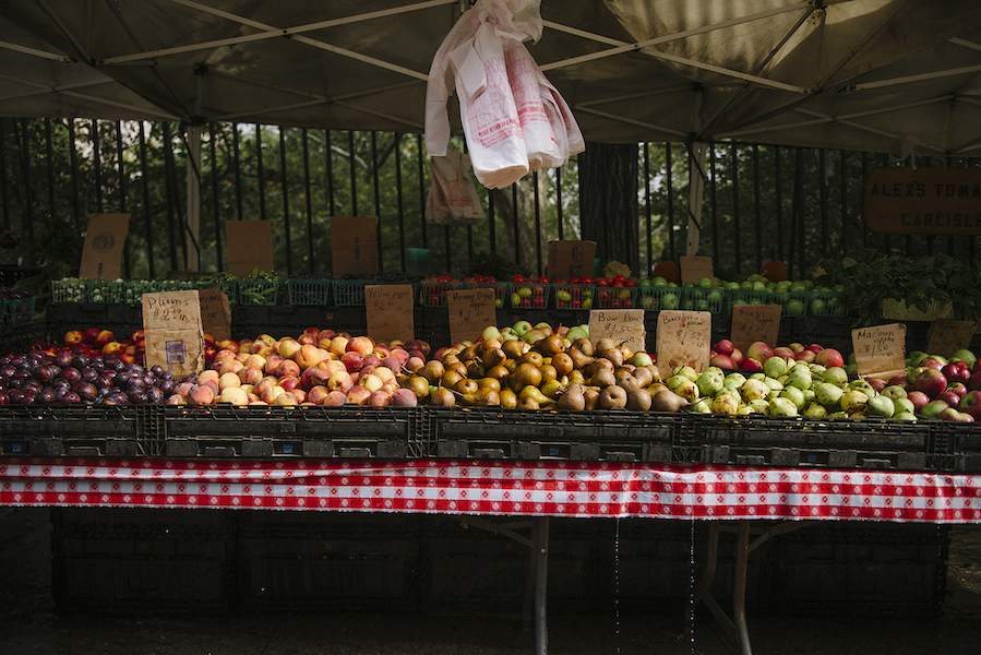 2016_PatrickKolts_HarlemFarmersMarkets_009