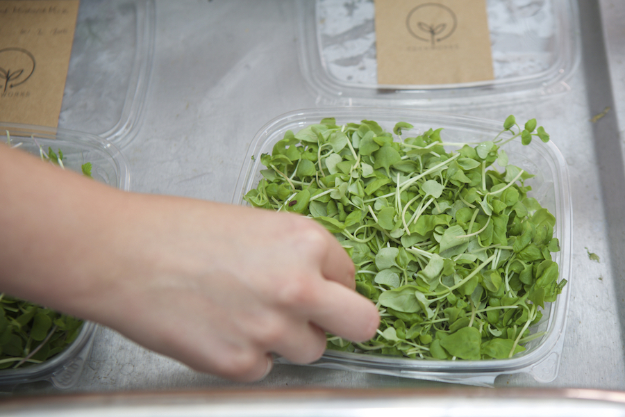 Standard, customised or bespoke The Chobani Incubator is a program for companies taking on broken food systems to bring better food to more people. In addition to investment, we give startups access to our network and expertise in order to scale up their operations and achieve significant growth.