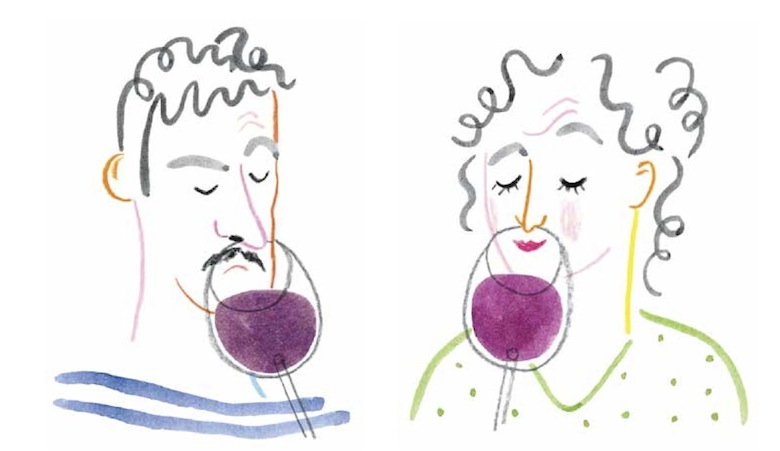 wineillustration_rebeccaclarke