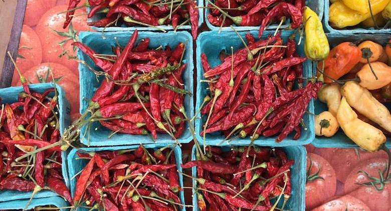 union square greenmarket