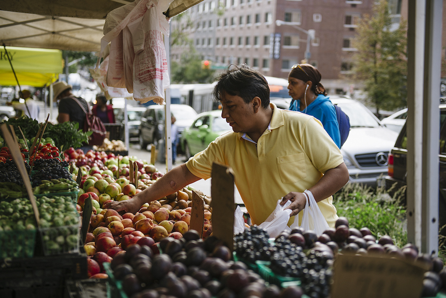 2016_PatrickKolts_HarlemFarmersMarkets_013