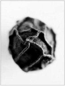 Screen Shot 2017-01-17 at 12.12.19 PM