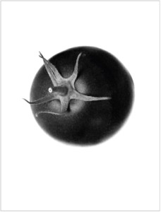 Screen Shot 2017-01-24 at 2.41.50 PM