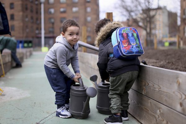 Harlem Grown