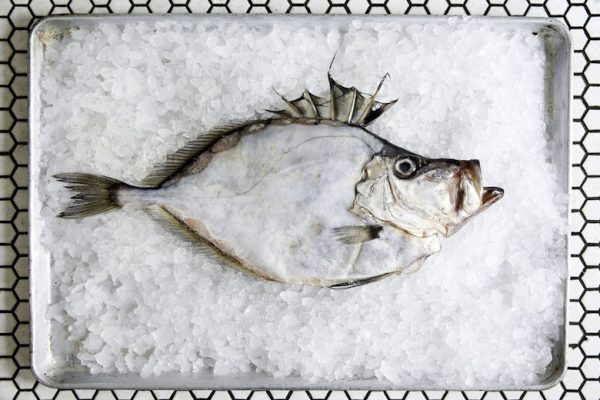 SustainableSeafood_2017_KJuneBurton_17