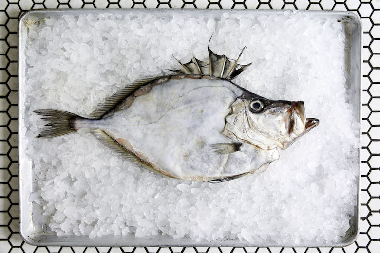 SustainableSeafood_2017_KJuneBurton_17