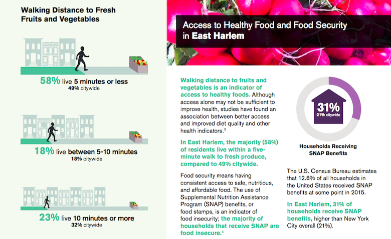 nycfoodscapesreports