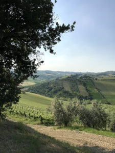 ciuciuwine_ALW_Italy_05
