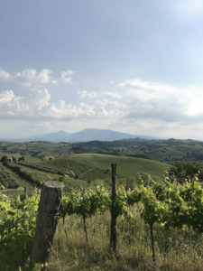 ciuciuwine_ALW_Italy_17