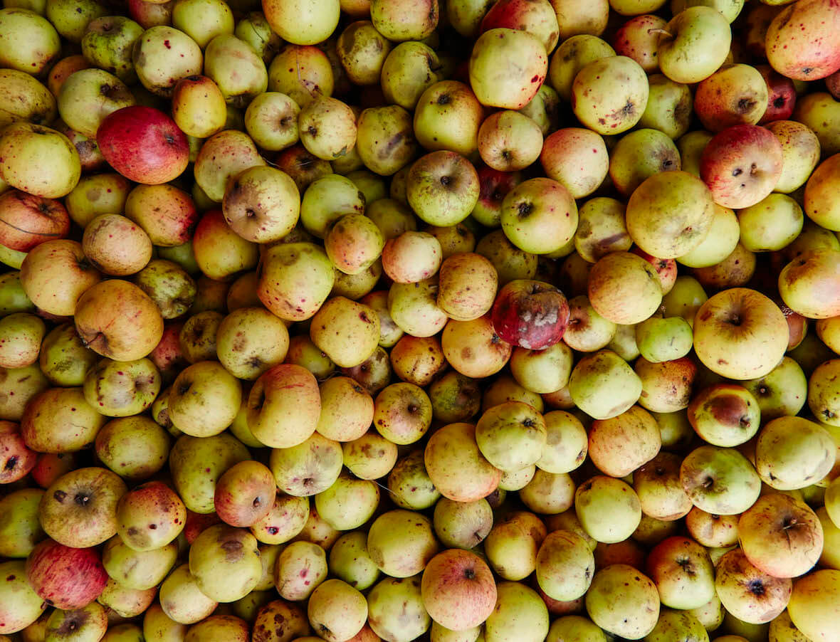 2017_CHolmes_RouteduCidre_08