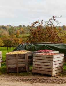 2017_CHolmes_RouteduCidre_09