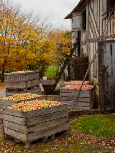 2017_CHolmes_RouteduCidre_19