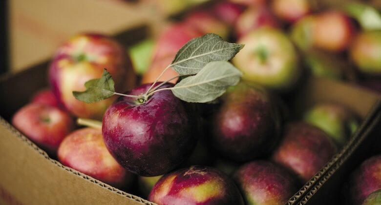 Apples_PatrickKolts