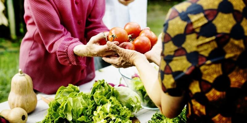 Feeding America Food Insecurity By City Feeding America Food Insecurity By City