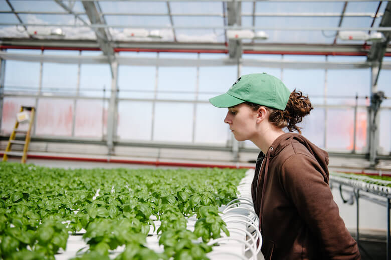 gothamgreens