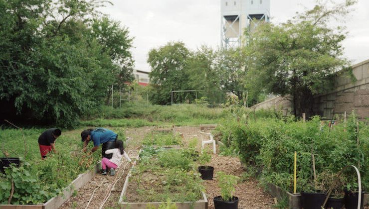 LaFincadelSur_SouthBronx_RobStephenson-960x500