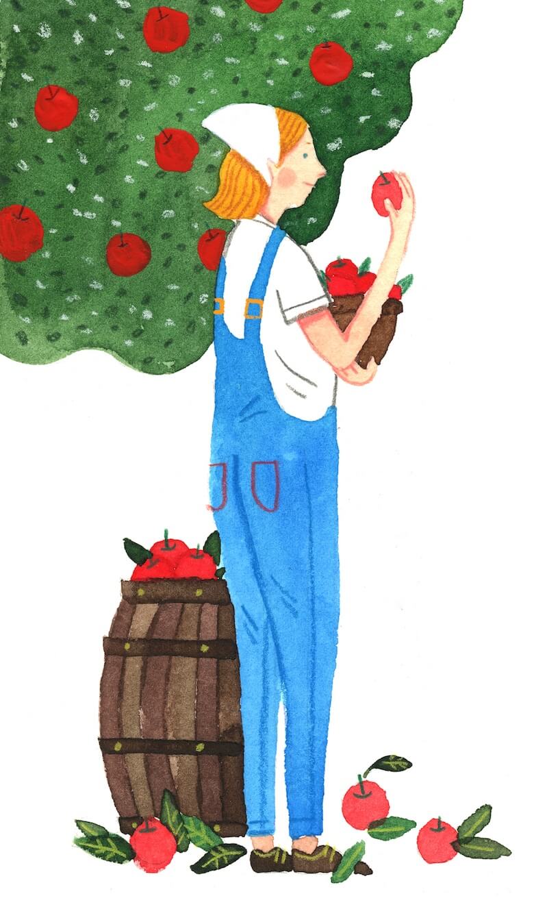 biodynamic orchard cider biltonen